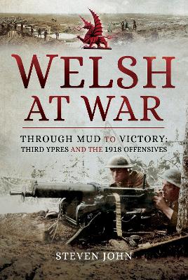 Book cover for Welsh at War