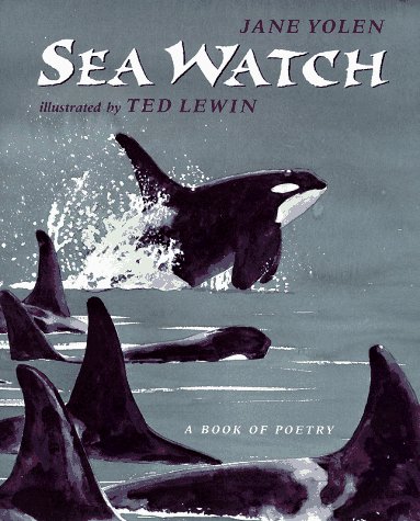 Book cover for Sea Watch