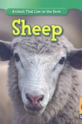 Cover of Sheep