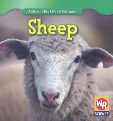 Book cover for Sheep