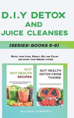 Book cover for D.I.Y Detox and Juice Cleanses Series