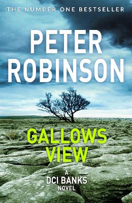 Book cover for Gallows View