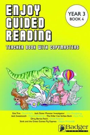 Cover of Enjoy Guided Reading Year 3