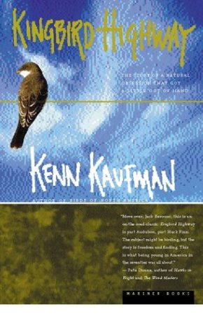 Book cover for Kingbird Highway