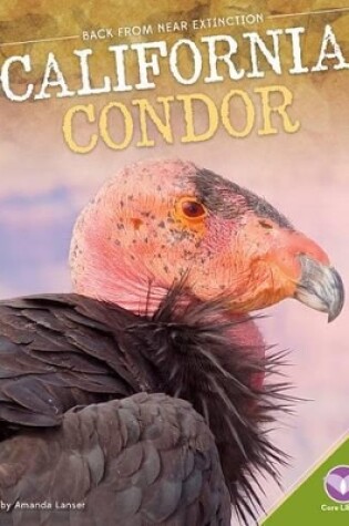 Cover of California Condor