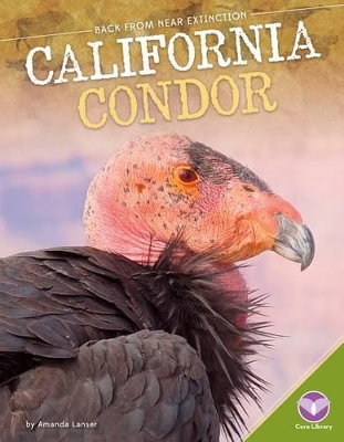 Cover of California Condor