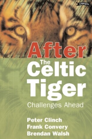 Cover of After the Celtic Tiger