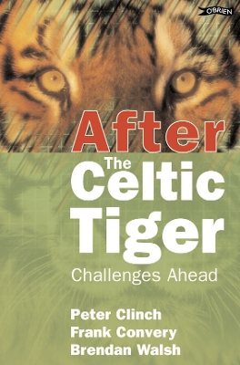 Book cover for After the Celtic Tiger