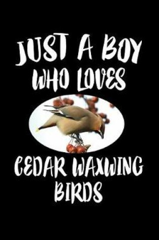 Cover of Just A Boy Who Loves Cedar Waxwing