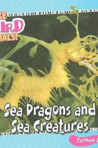 Cover of Leafy Sea Dragons and Other Weird Sea Creatures