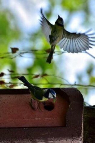 Cover of Blue Tits at a Bird Feeder Journal