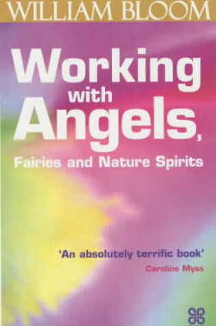 Cover of Working With Angels, Fairies And Nature Spirits