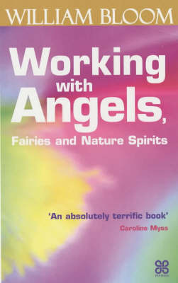 Book cover for Working With Angels, Fairies And Nature Spirits