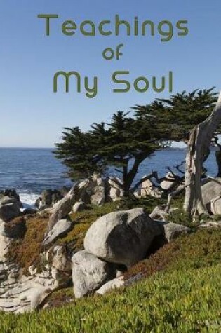 Cover of Teachings of My Soul