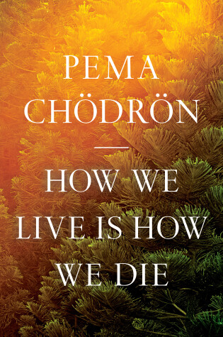 Cover of How We Live Is How We Die