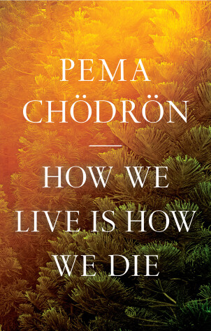 Book cover for How We Live Is How We Die