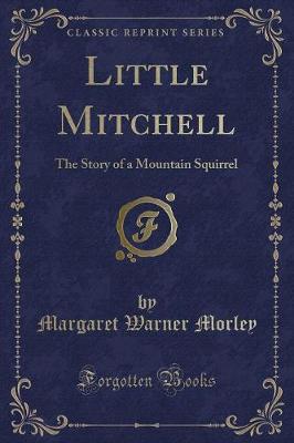 Book cover for Little Mitchell