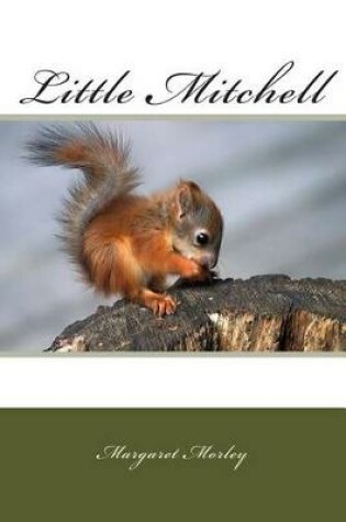 Cover of Little Mitchell