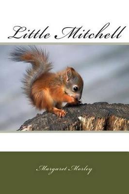 Book cover for Little Mitchell