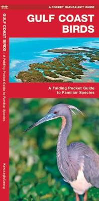 Book cover for Gulf Coast Birds