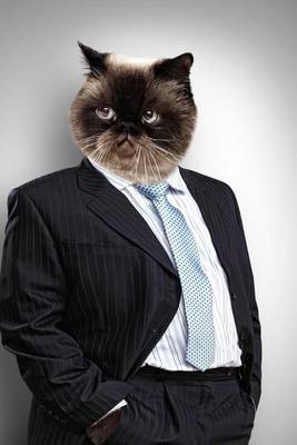 Book cover for Cat in a Business Suit Journal