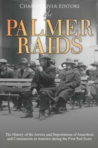 Cover of The Palmer Raids