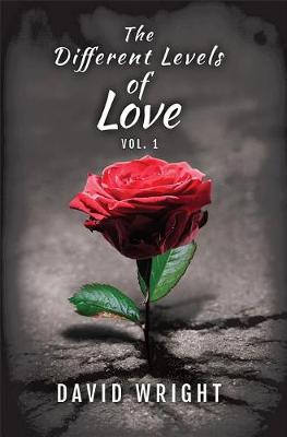 Book cover for The Different Levels of Love, Volume 1