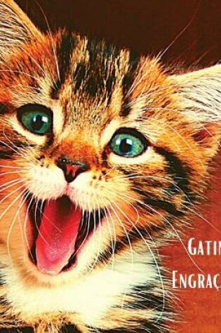 Cover of Gatinhos Engracados