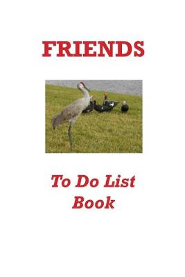 Book cover for Friends To Do List Book