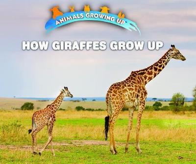 Cover of How Giraffes Grow Up