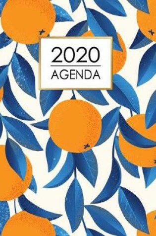 Cover of Agenda 2020