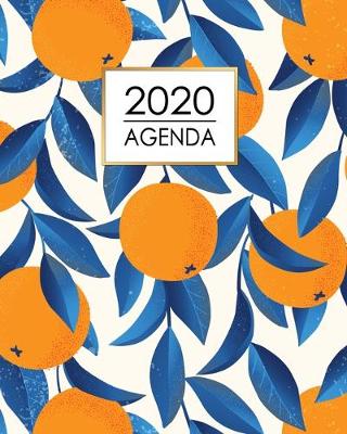 Book cover for Agenda 2020