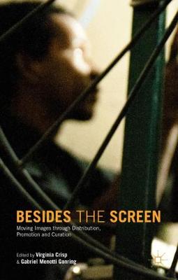 Book cover for Besides the Screen
