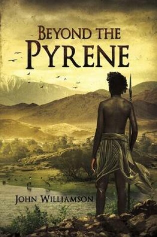 Cover of Beyond The Pyrene