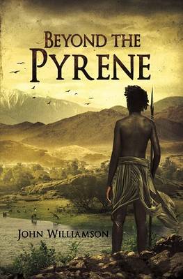 Book cover for Beyond The Pyrene