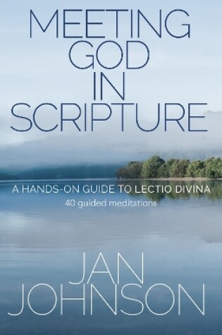Cover of Meeting God in Scripture
