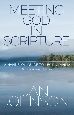 Book cover for Meeting God in Scripture