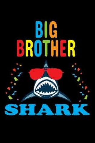 Cover of Big Brother Shark