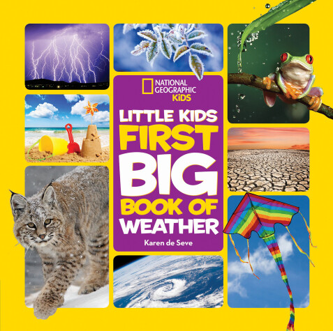 Book cover for National Geographic Little Kids First Big Book of Weather