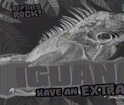 Cover of Iguanas Have an Extra Eye!