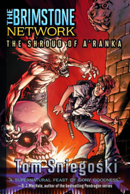 Book cover for The Shroud of A'Ranka