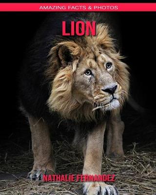 Book cover for Lion