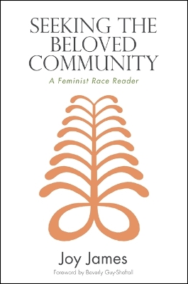 Book cover for Seeking the Beloved Community