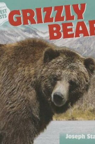 Cover of Grizzly Bear