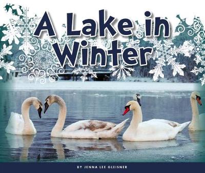 Book cover for A Lake in Winter