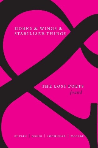 Cover of Horns & Wings & Stabiliser Things