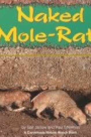 Cover of Naked Mole Rats Nature Watch