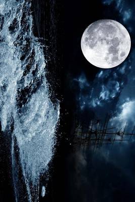 Book cover for The Moon Shining on a Ship Sailing Too Close to Shore