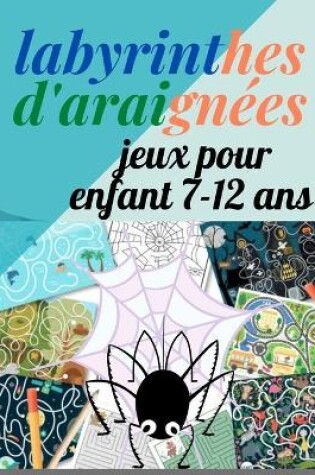 Cover of labyrinthes d'araignée