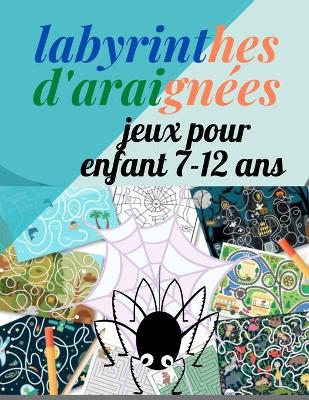 Book cover for labyrinthes d'araignée